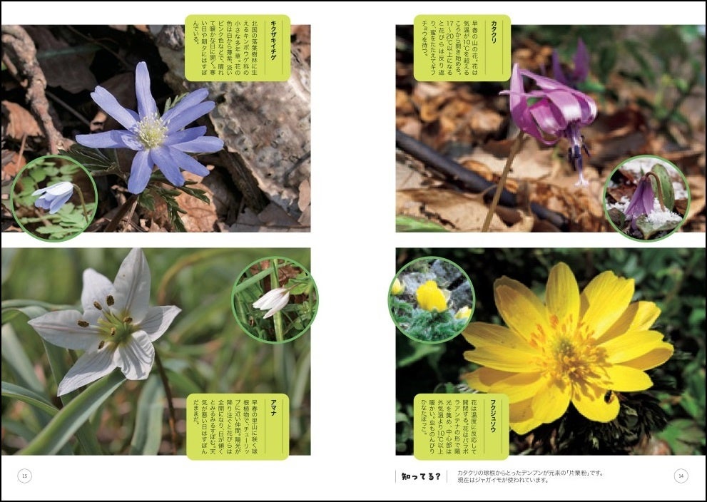 「第一章 春の道草」より