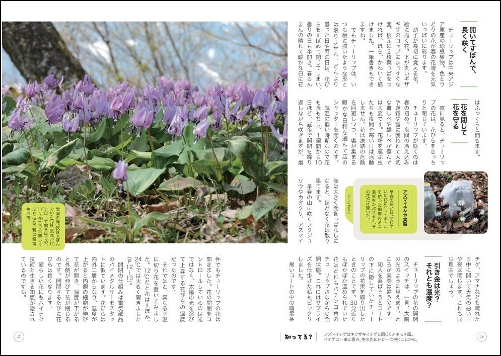 「第一章　春の道草」より