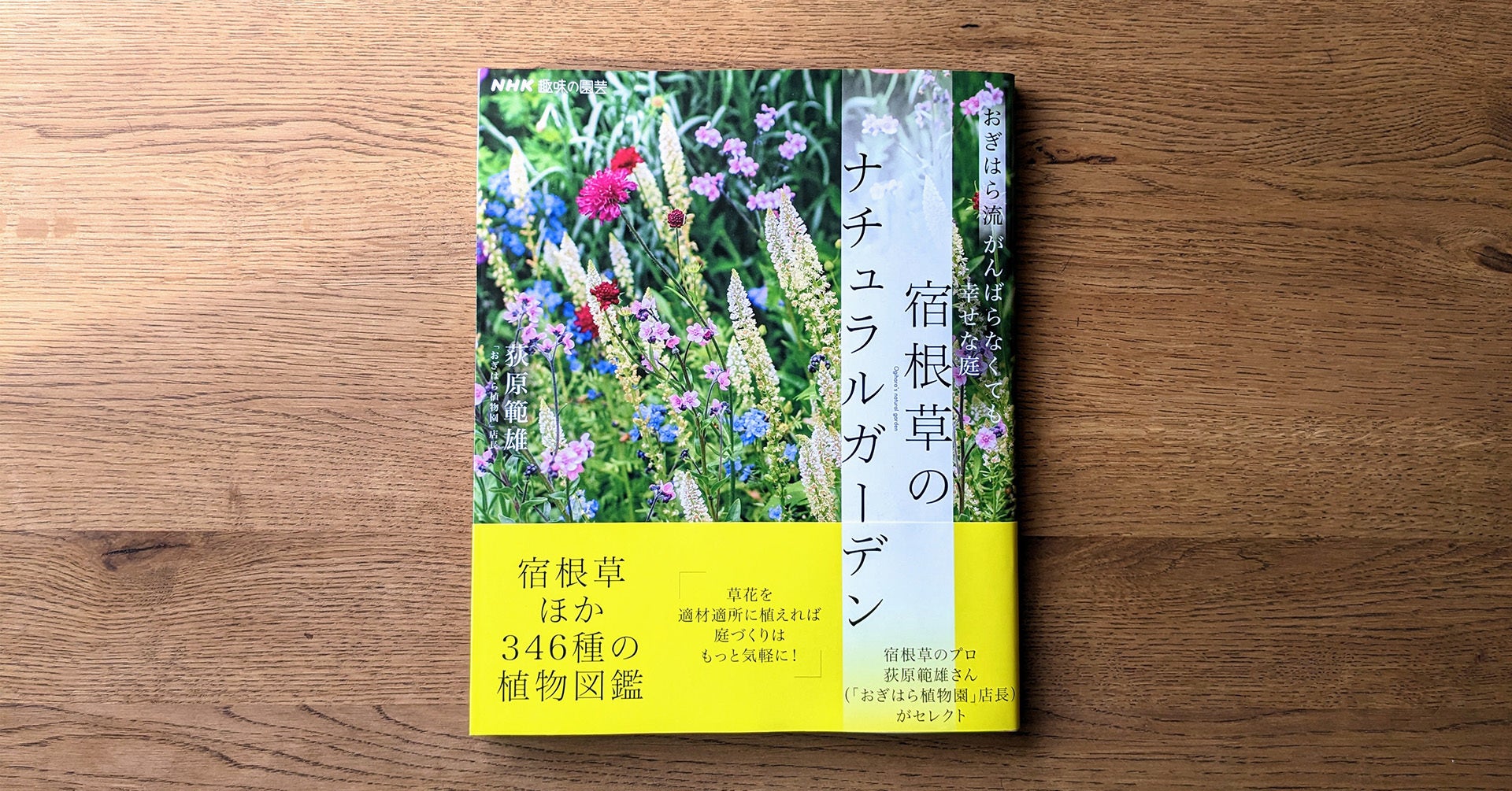 『NHK趣味の園芸　おぎはら流　がんばらなくても幸せな庭　宿根草のナチュラルガーデン』