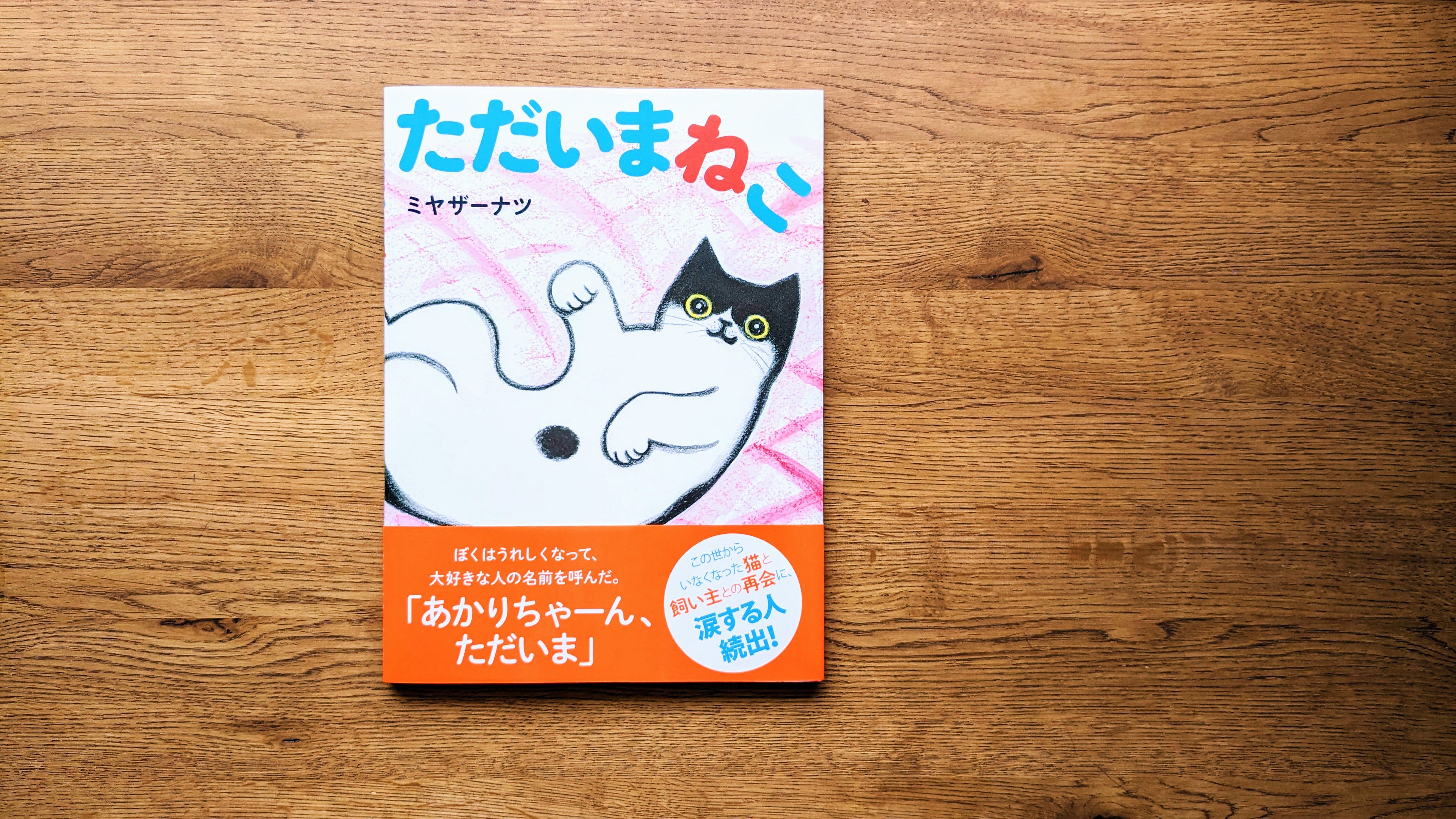 大反響で即増刷！ この世から旅立った猫と飼い主との再会を描いた
