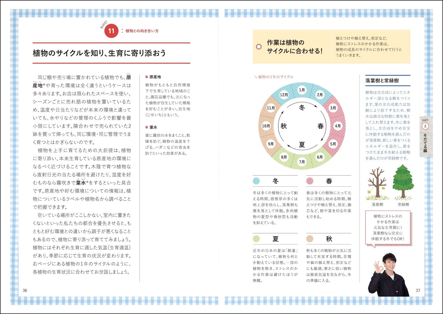 「part2　そだてる編」より「hint!11　植物との向き合い方……植物のサイクルを知り、生育に寄り添おう」