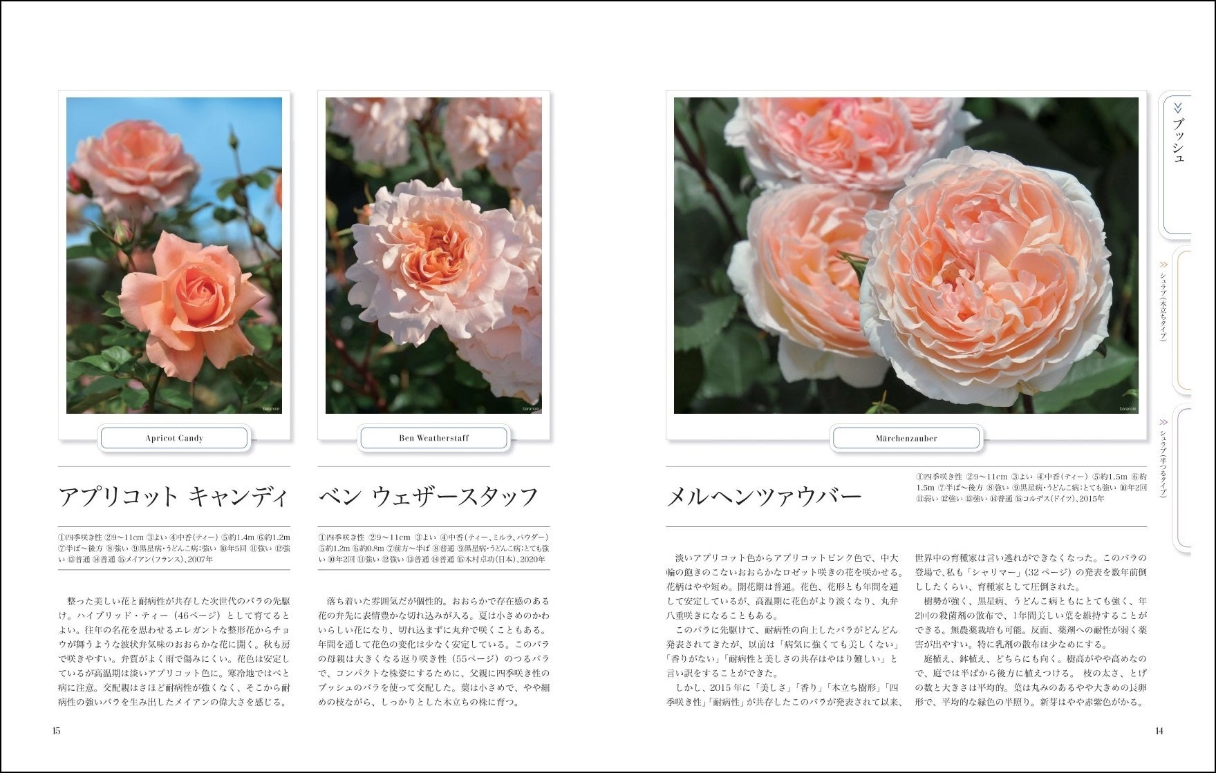 「第1章　次世代のバラ品種図鑑」より