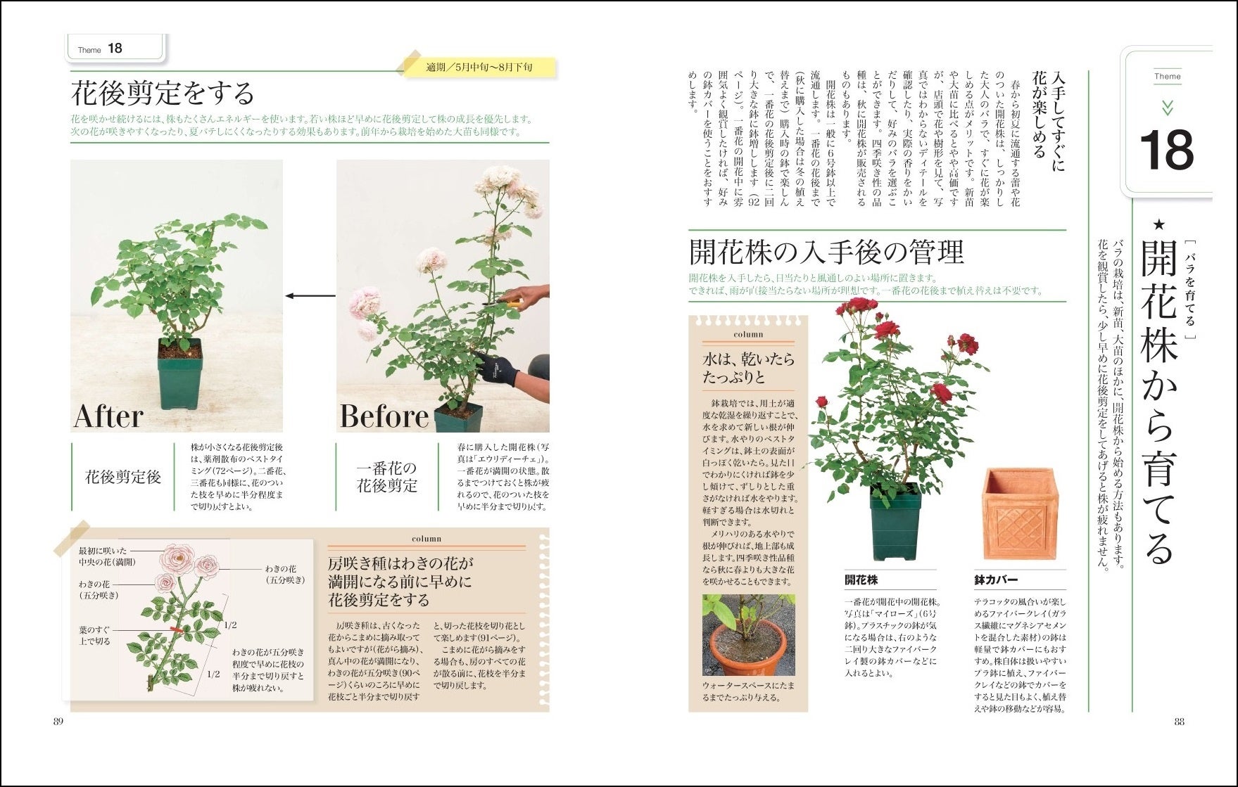 「第3章　バラを育てる」