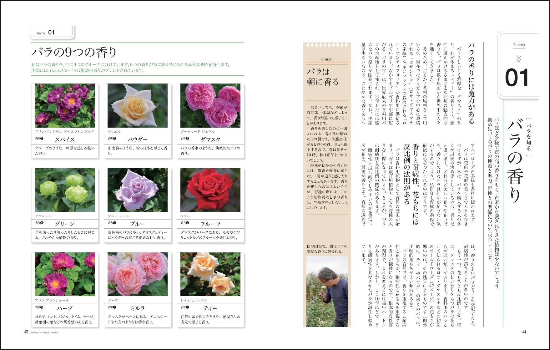 「第2章　バラを知る」より