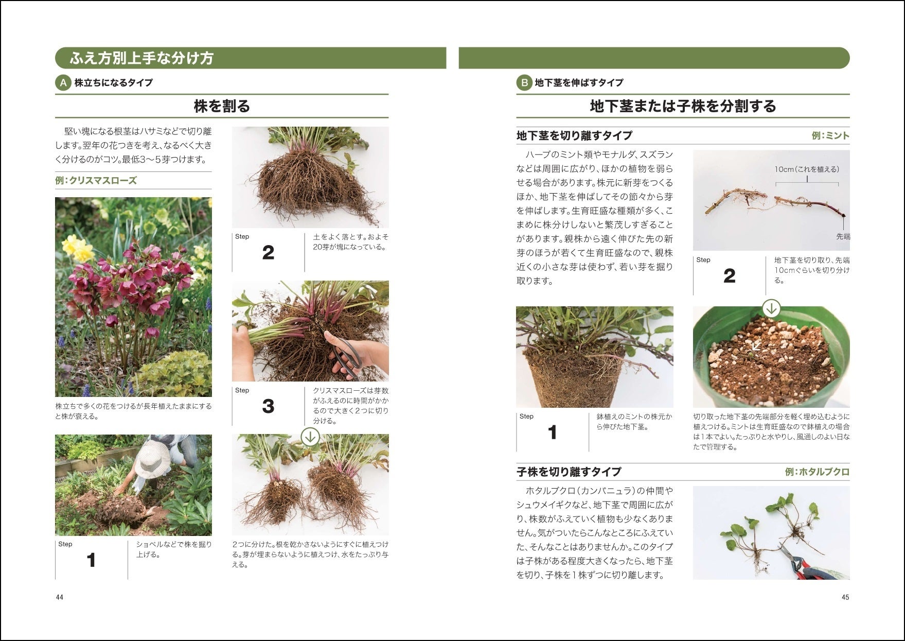「ふえ方別上手な分け方」
