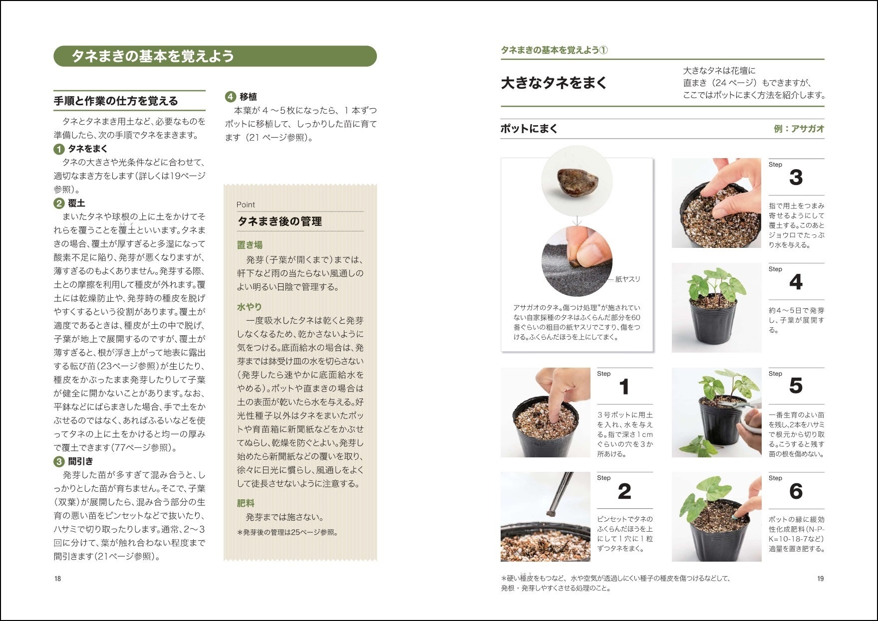 NHK趣味の園芸 12か月栽培ナビDo 花苗をふやす タネまき・さし木