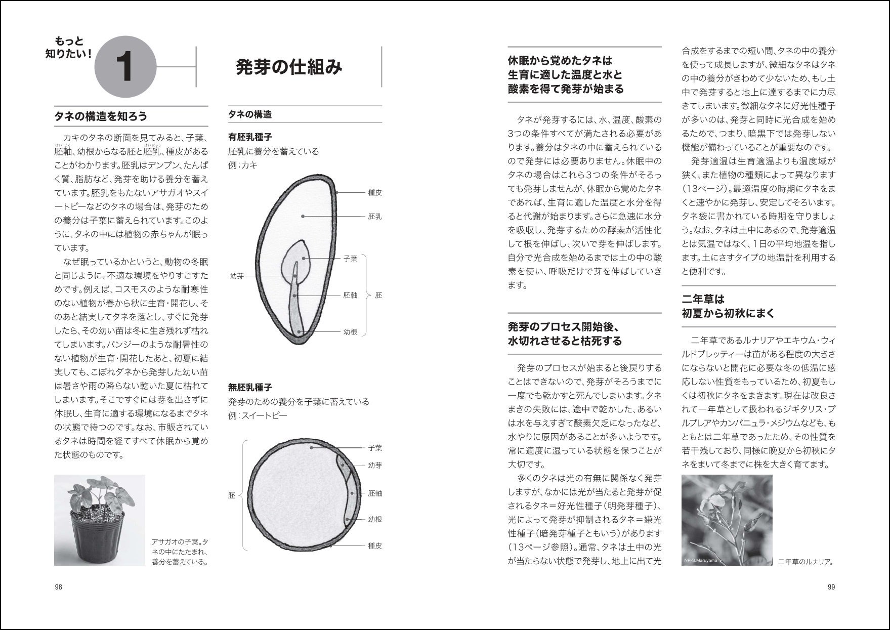 「発芽の仕組み」