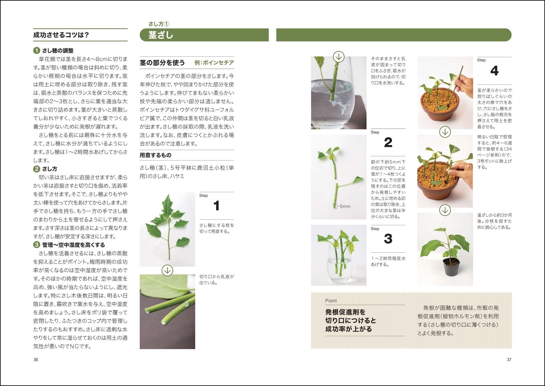 「さし方①　茎ざし」