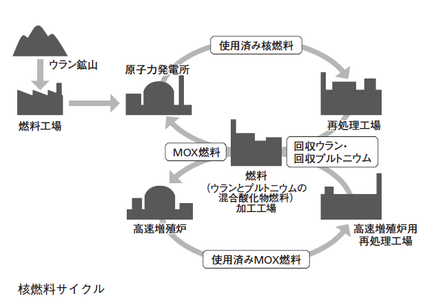 豊富な図版資料も掲載し、わかりやすく解説