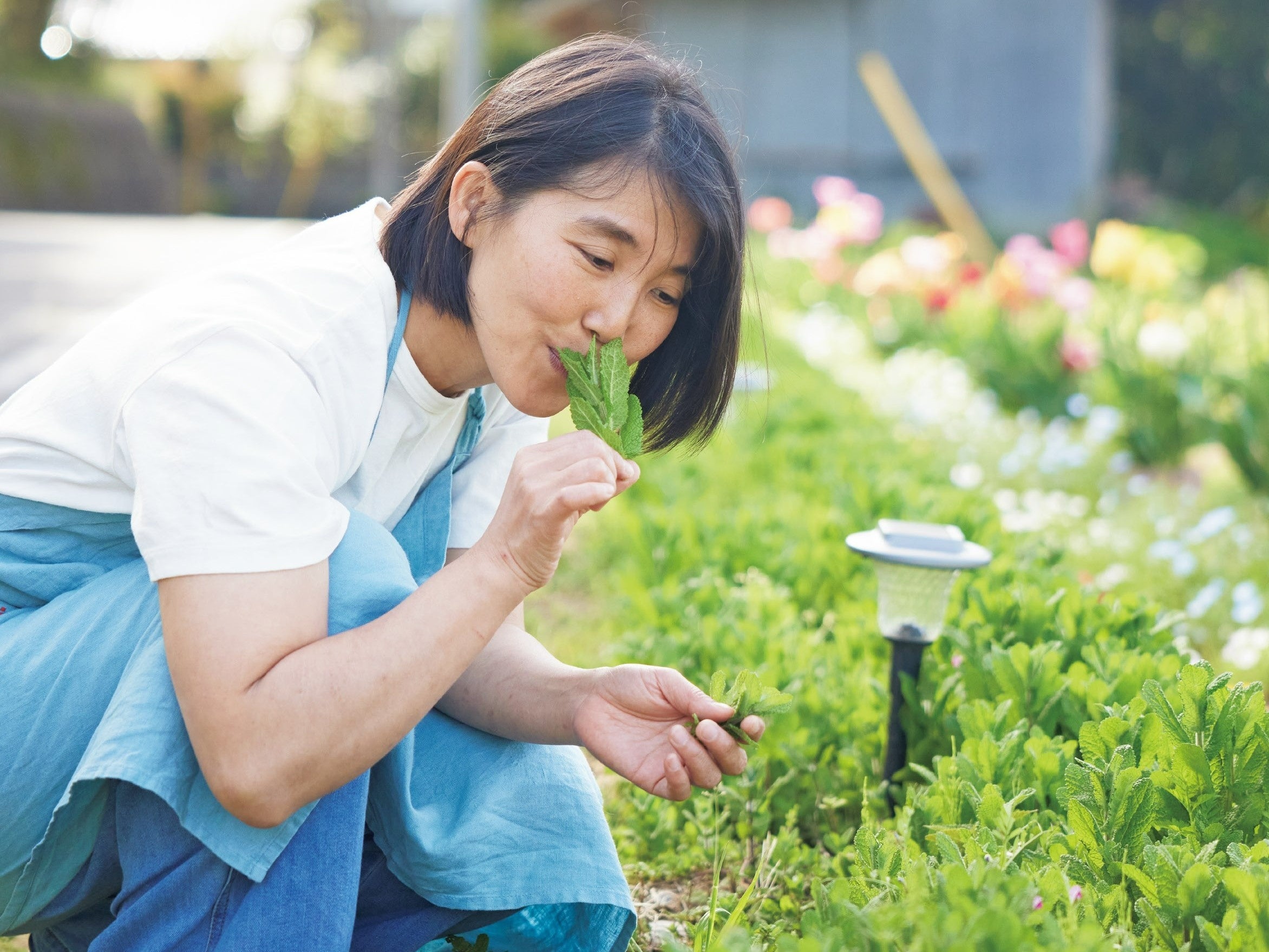 “伝説の家政婦”タサン志麻さんの料理のしかたとは？