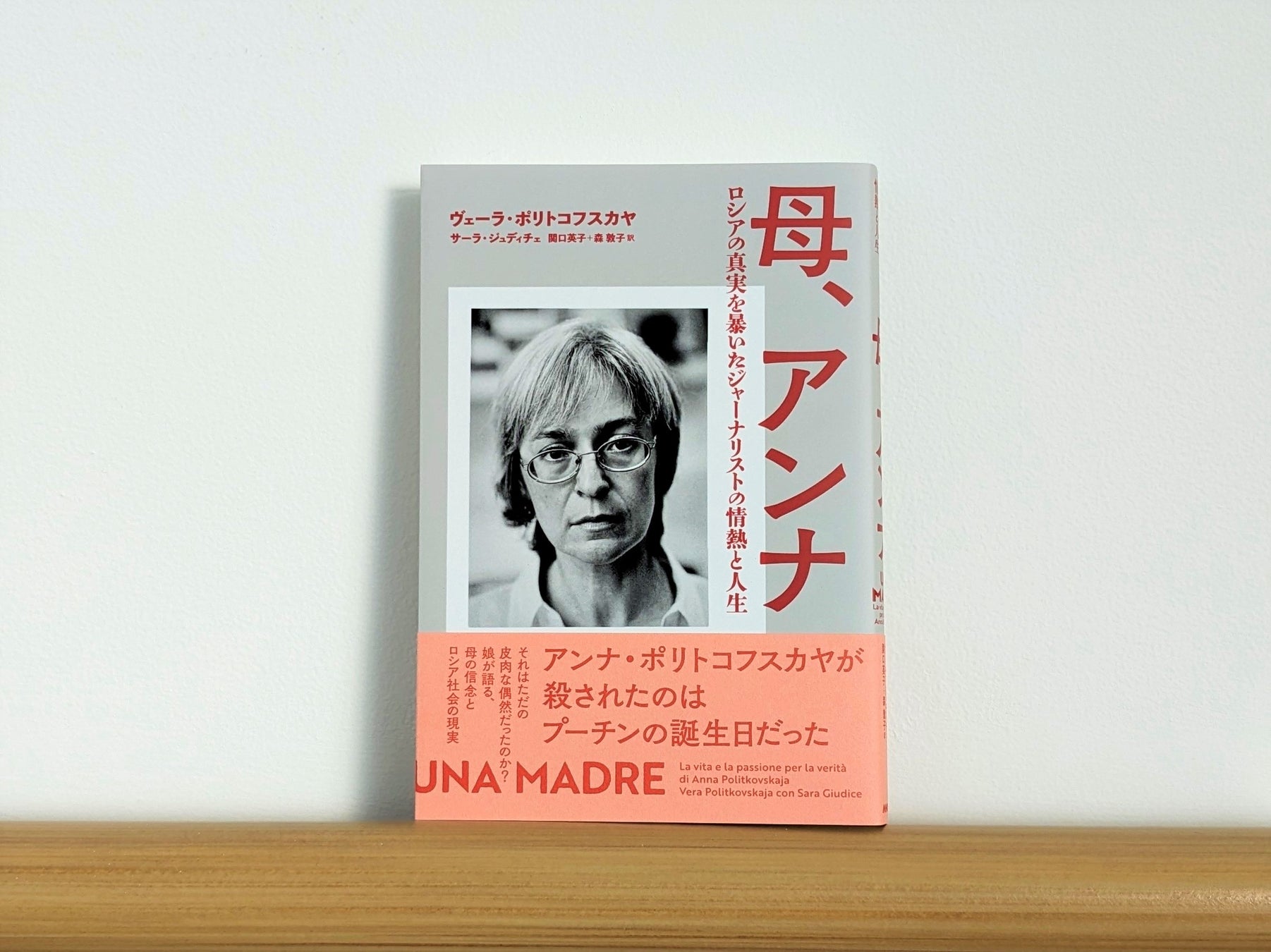 活動歴および当時の関連ビジュアル記録