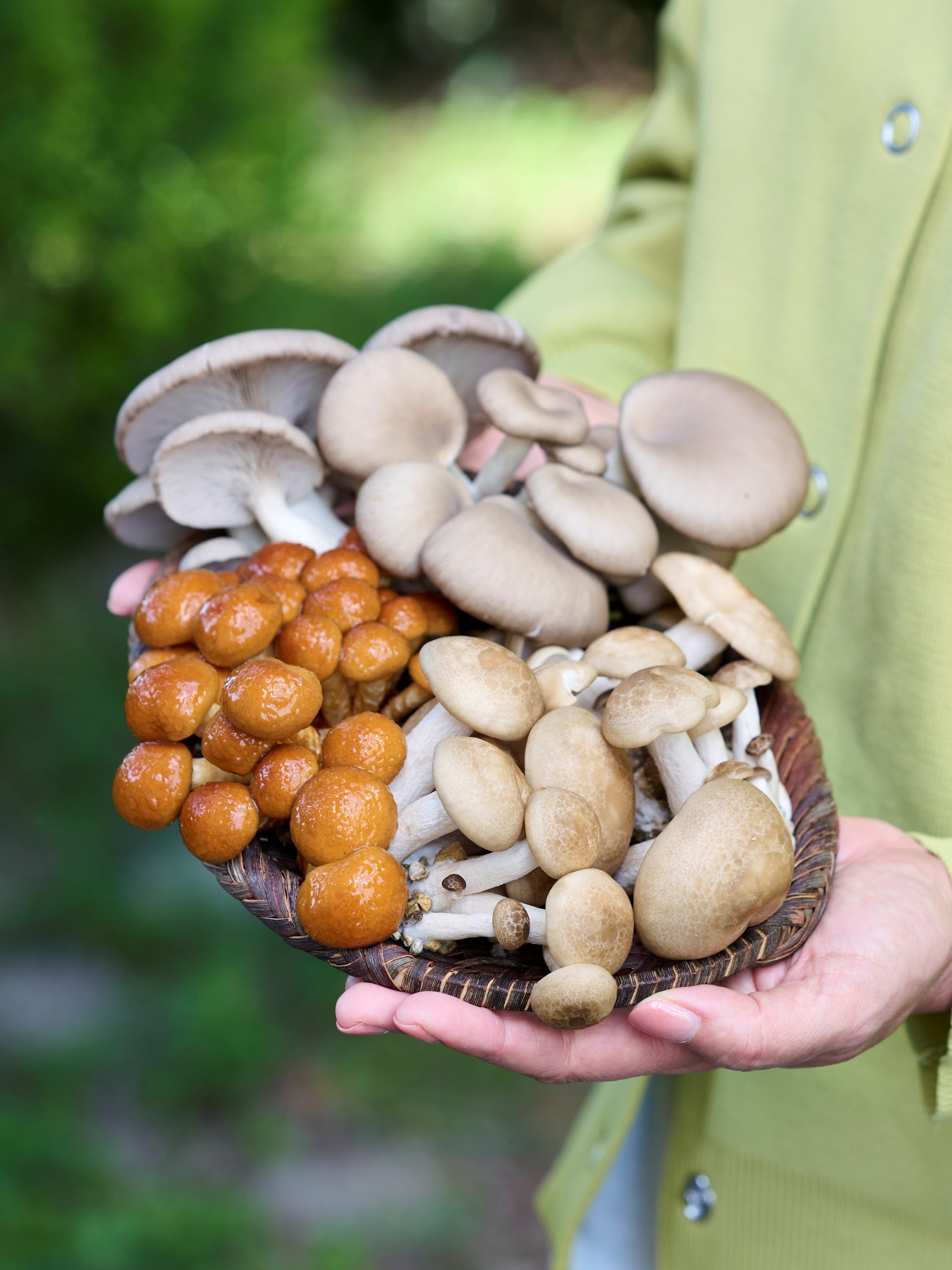 趣味の園芸 やさいの時間』12-1月号は創刊以来初の「キノコ」特集