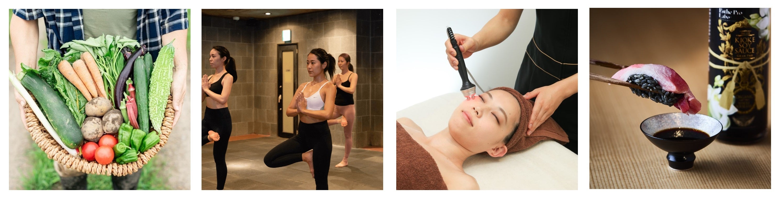 左から「プロラボファーム」、「INSEA（インシー）」、「グランプロメディカルスパRHA」、「麻布 黒しゃり」