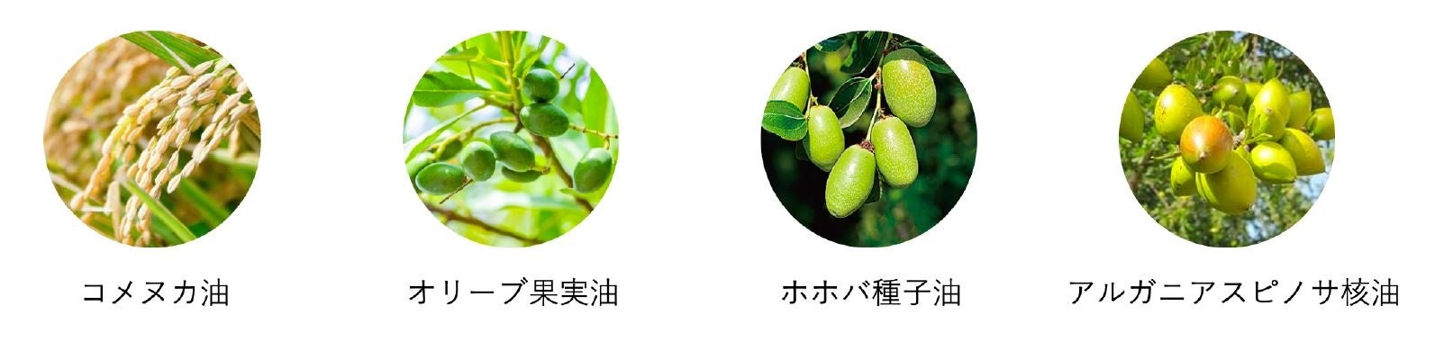 ※写真はイメージです。