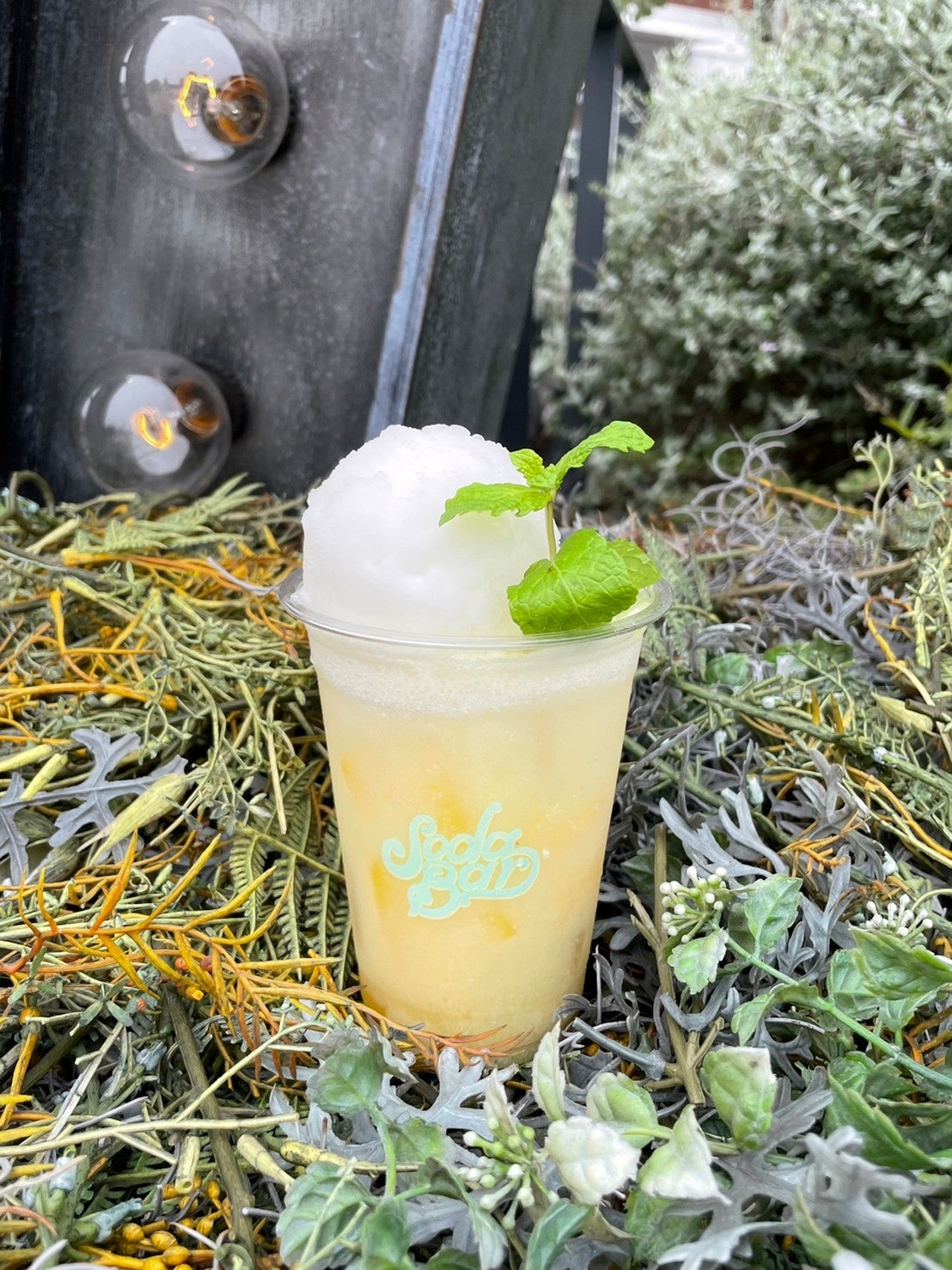 SODA BAR横浜店にて“Triple Tropical Soda Sisters”が販売
