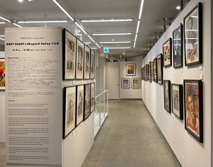 展示会場の様子