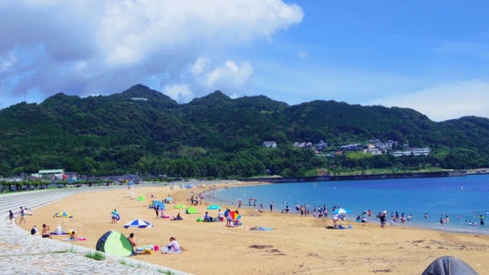 熊野灘の「特選」白砂ビーチと祈りの花火が彩る夏 ブルービーチ那智開設&第17回那智勝浦町花火大会開催のお知らせ 熊野灘の「特選」白砂ビーチと祈りの花火が彩る夏 ブルービーチ那智開設&第17回那智勝浦町花火大会開催のお知らせ