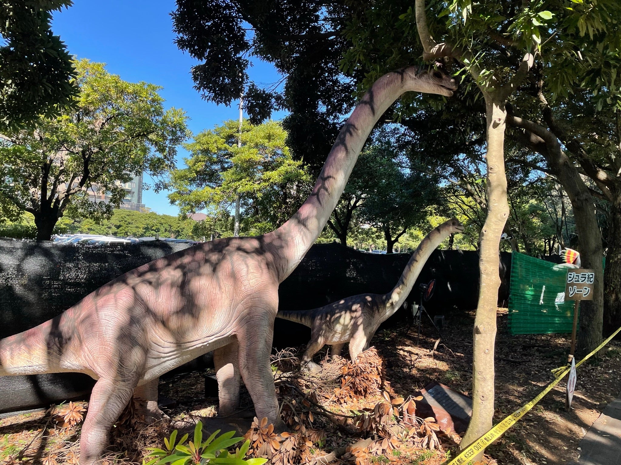恐竜展示／ ブラキオサウルス