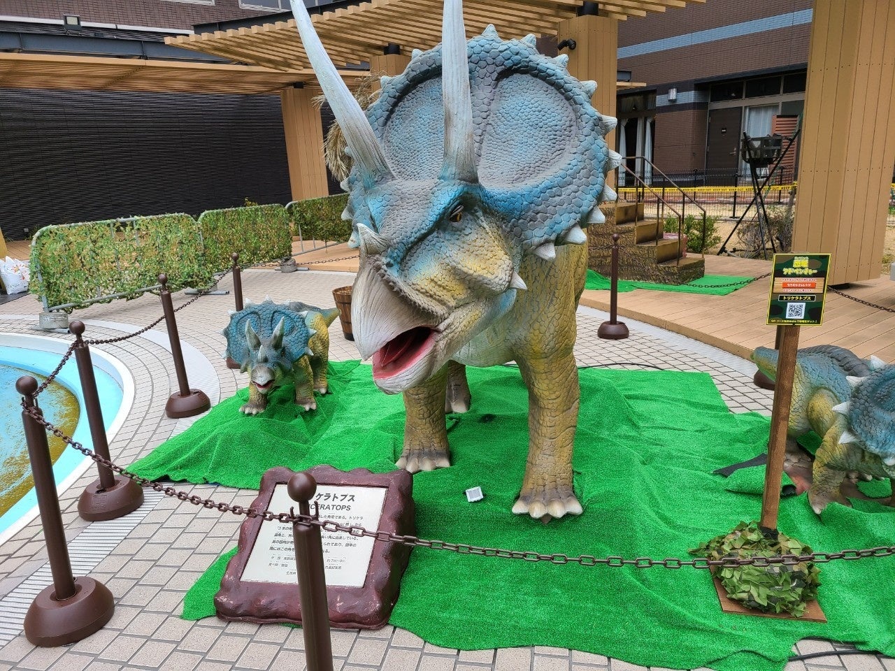 トリケラトプス