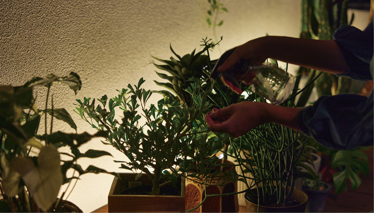 『憩いのひかり』使い方：間接照明