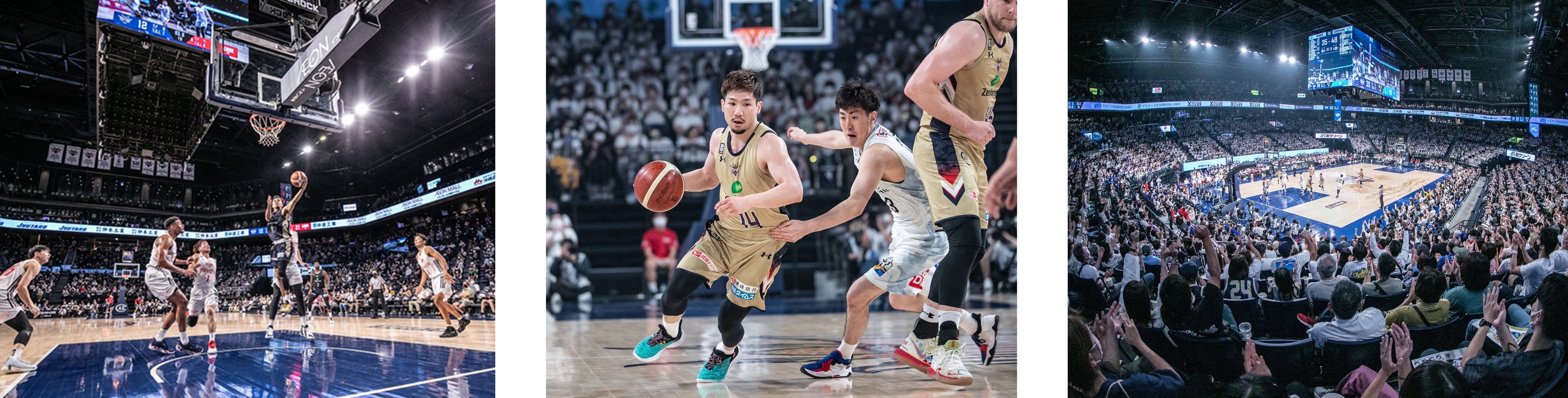 写真提供：琉球ゴールデンキングス