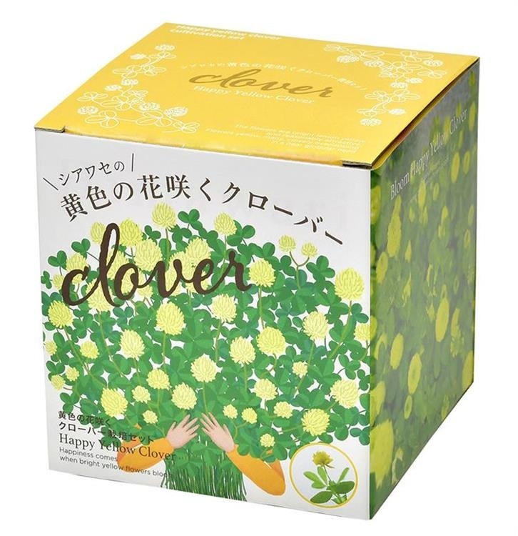 シアワセの黄色の花咲くクローバー