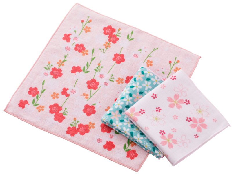 和たおるセミウォッシュ