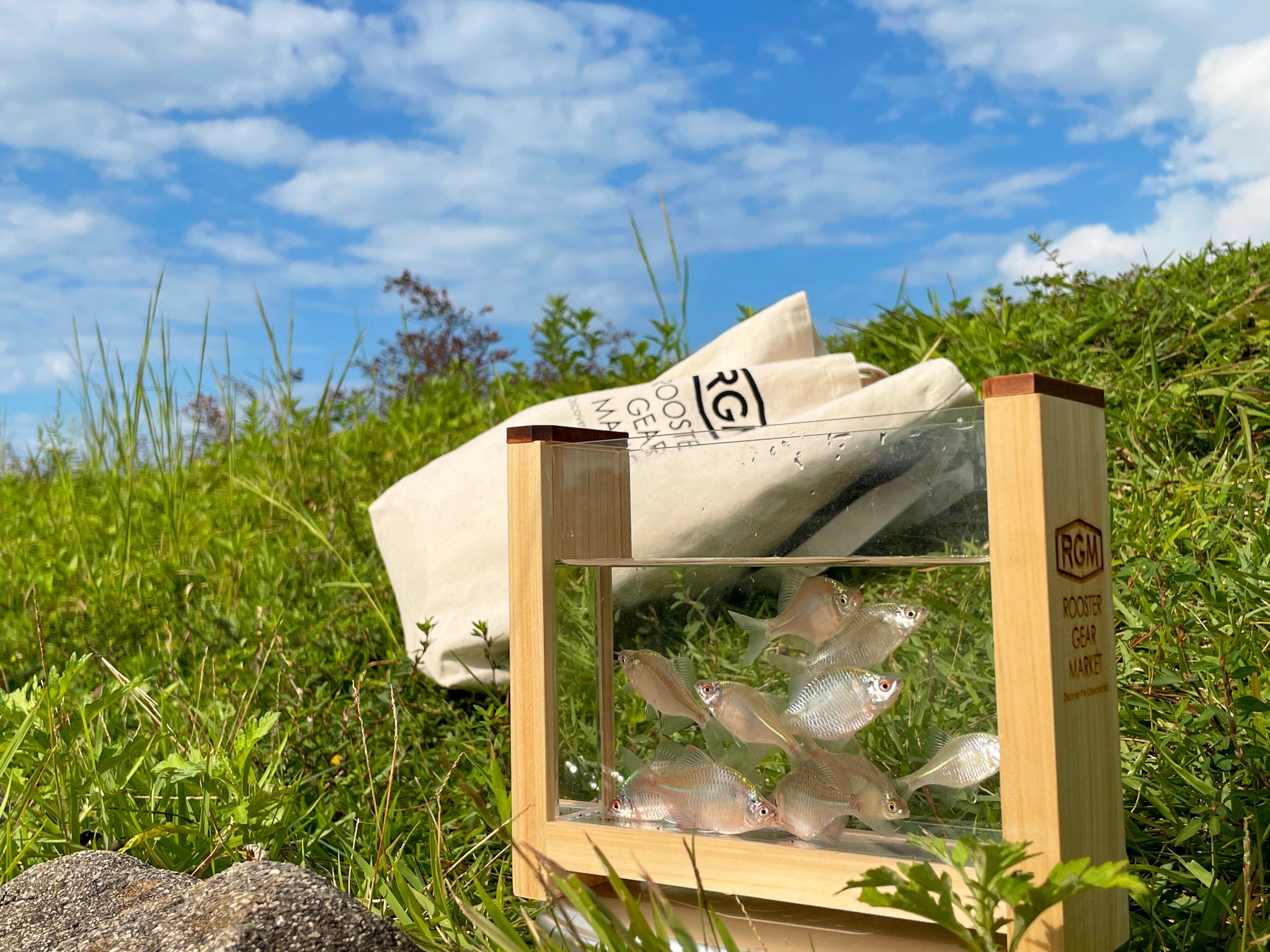 ROOSTER GEAR MARKET 観察ケース