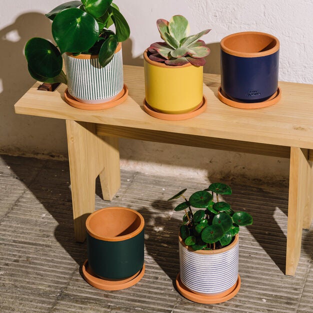 MoMA Design Store】 Modern Garden- 屋内でも、屋外でも、MoMAの