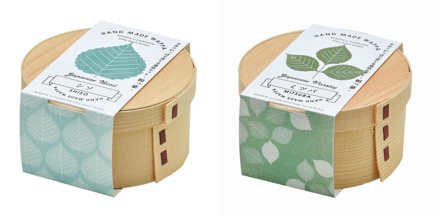 WAPPA 和っ葉栽培セット　シソ、三つ葉