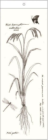 ライスペーパーカレンダー Rice Harvest Schedule for Two