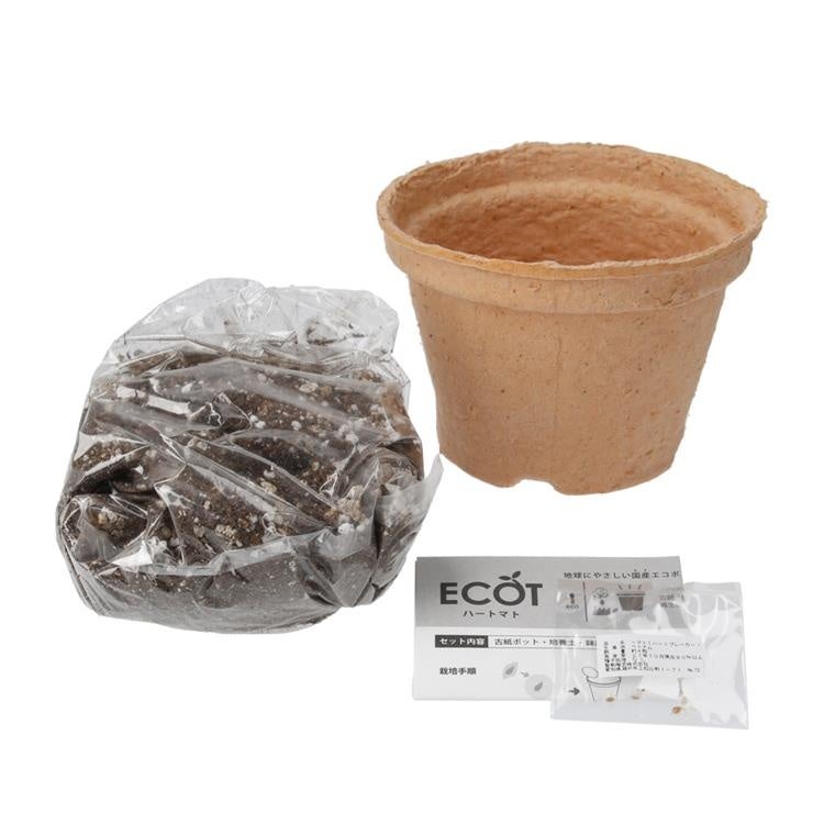 〈エコット セット内容 〉