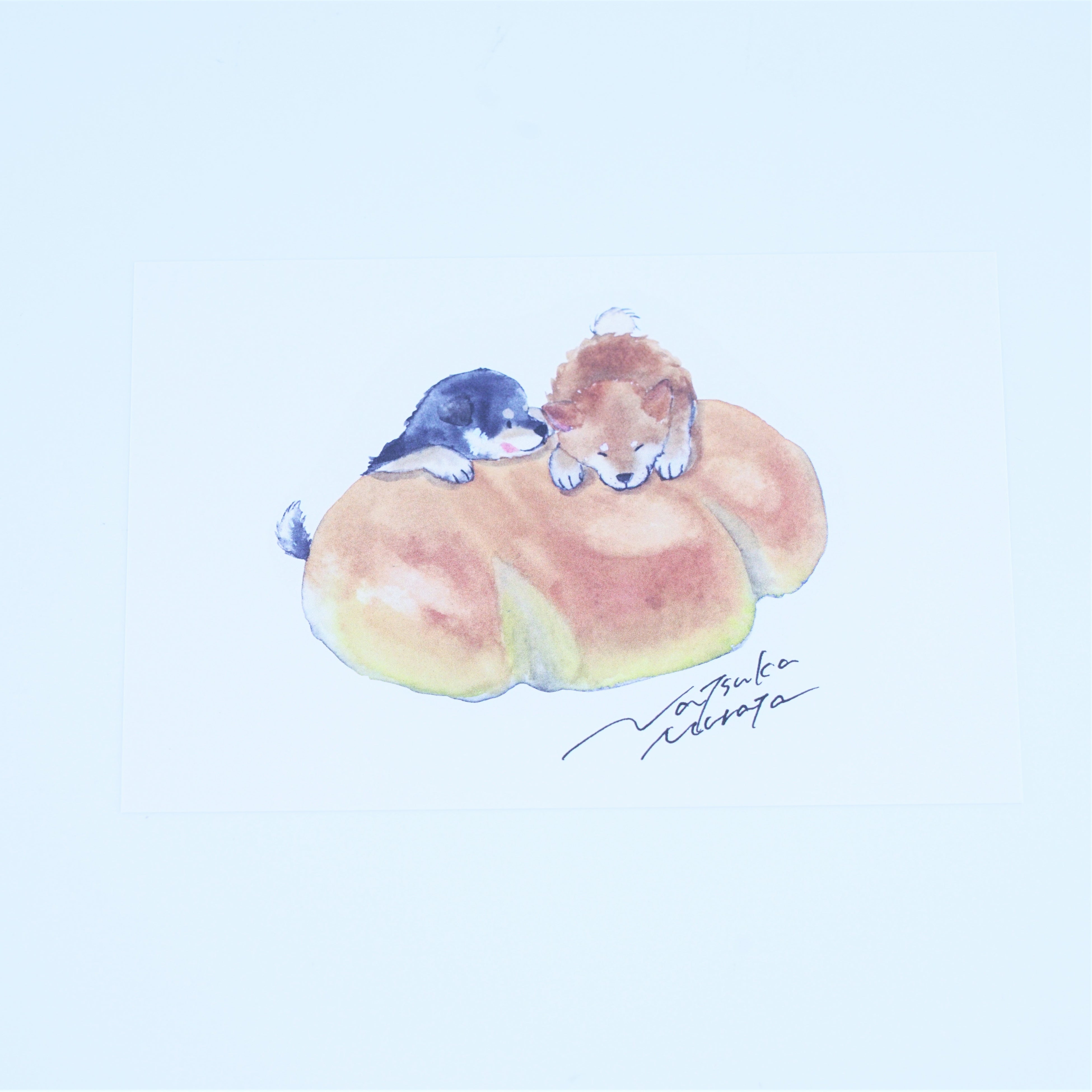 ポストカード　パンしばクリームパン