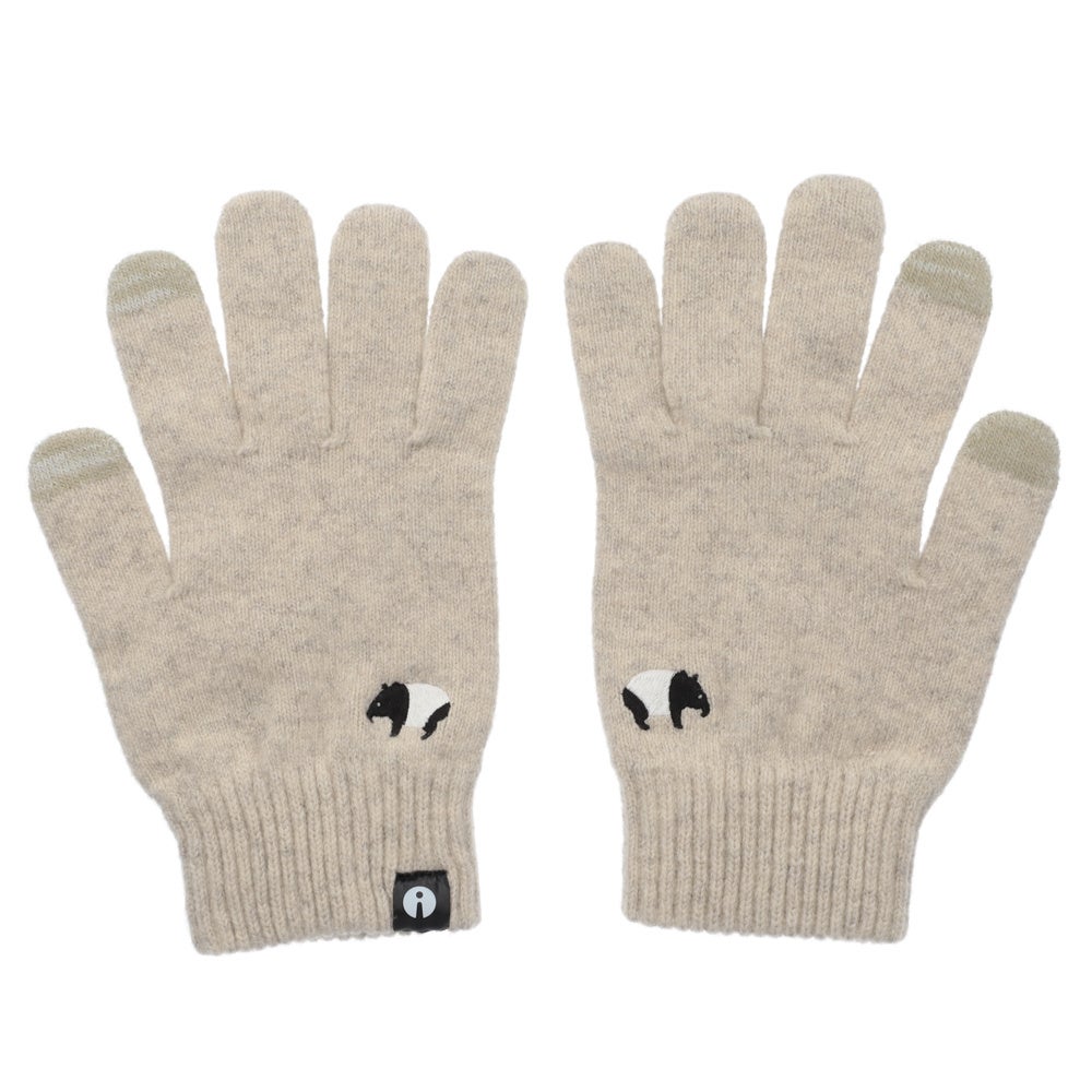 iTouch Gloves