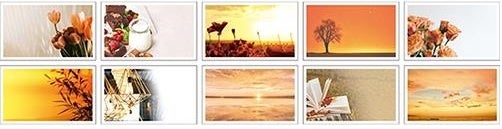 全部ちがうトレペフォトミニカード テラコッタ　商品イメージ