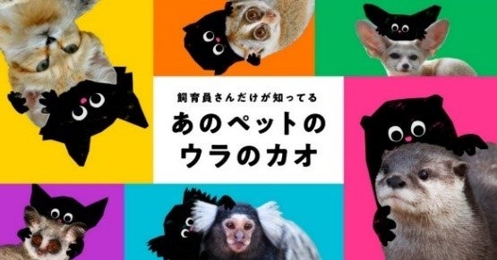 WWFジャパンx上野動物園】5月31日（水）は「世界カワウソの日