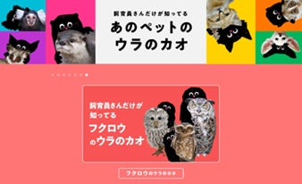 野生動物の”ペット化”の見直しを訴えるキャンペーン、新たに「フクロウ 野生動物の”ペット化”の見直しを訴えるキャンペーン、新たに「フクロウ