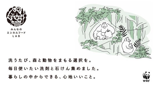 WWFジャパン、CCC、サラヤ、太陽油脂、「みんなのエシカルフードラボ」 で“RSPO認証パーム油”をテーマにしたポップアップイベントを開催! WWFジャパン、CCC、サラヤ、太陽油脂、「みんなのエシカルフードラボ」 で“RSPO認証パーム油”をテーマにしたポップアップイベントを開催!