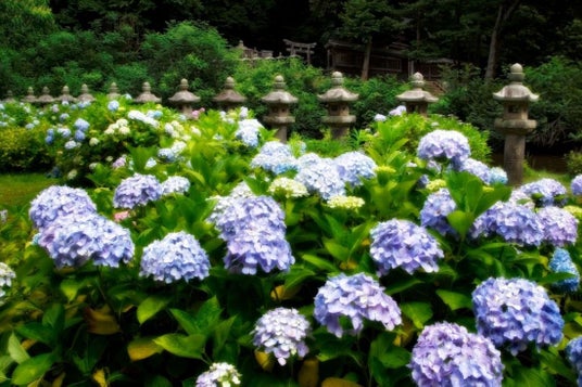 <しまねNEWS LETTER 2026年6月号>八雲も愛した雨の日の松江を巡る、縁雫が紡ぐ、4 つの旅の物語 <しまねNEWS LETTER 2026年6月号>八雲も愛した雨の日の松江を巡る、縁雫が紡ぐ、4 つの旅の物語