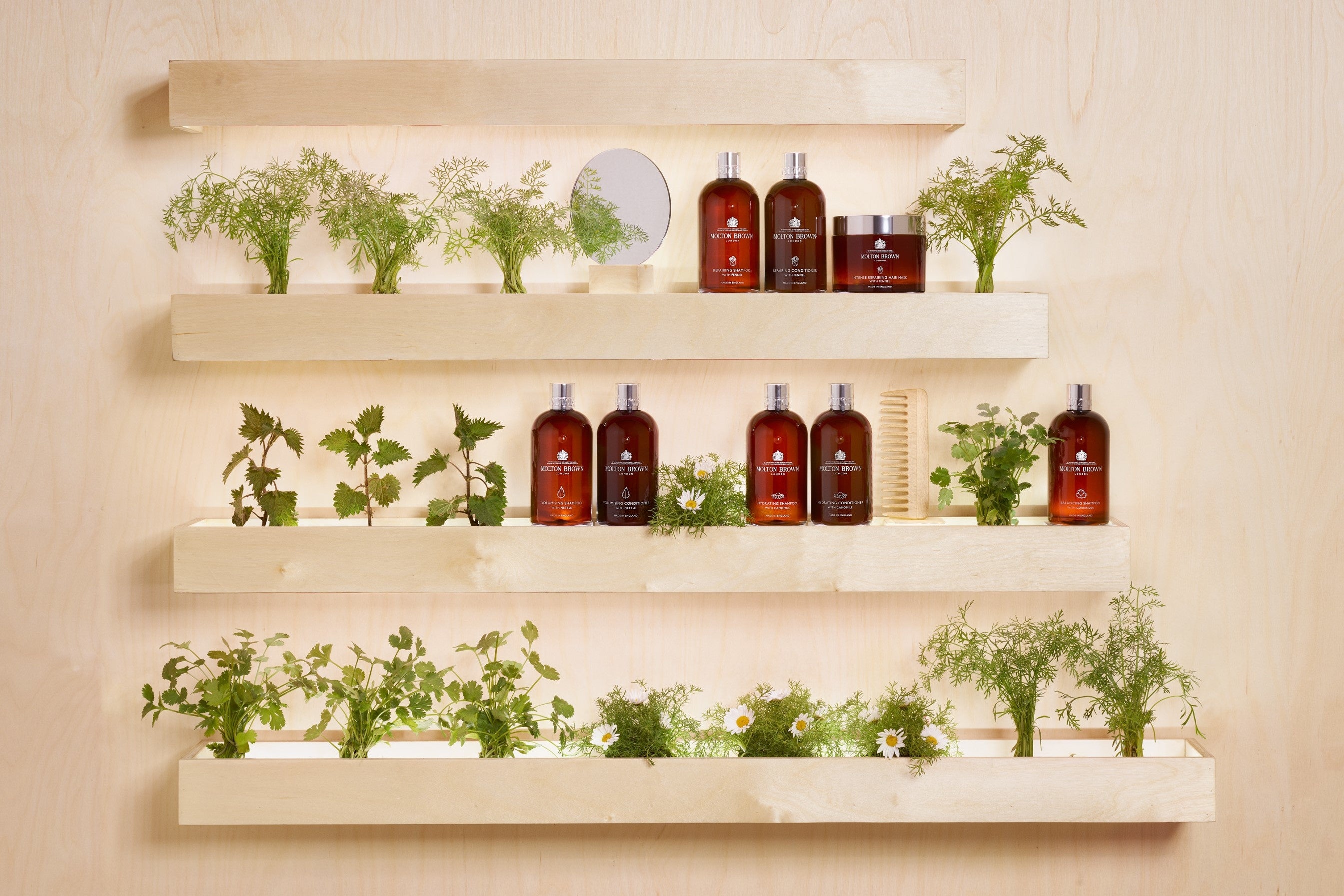 ボタニカル ヘアケア コレクション