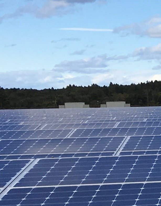 水戸の太陽光発電所内