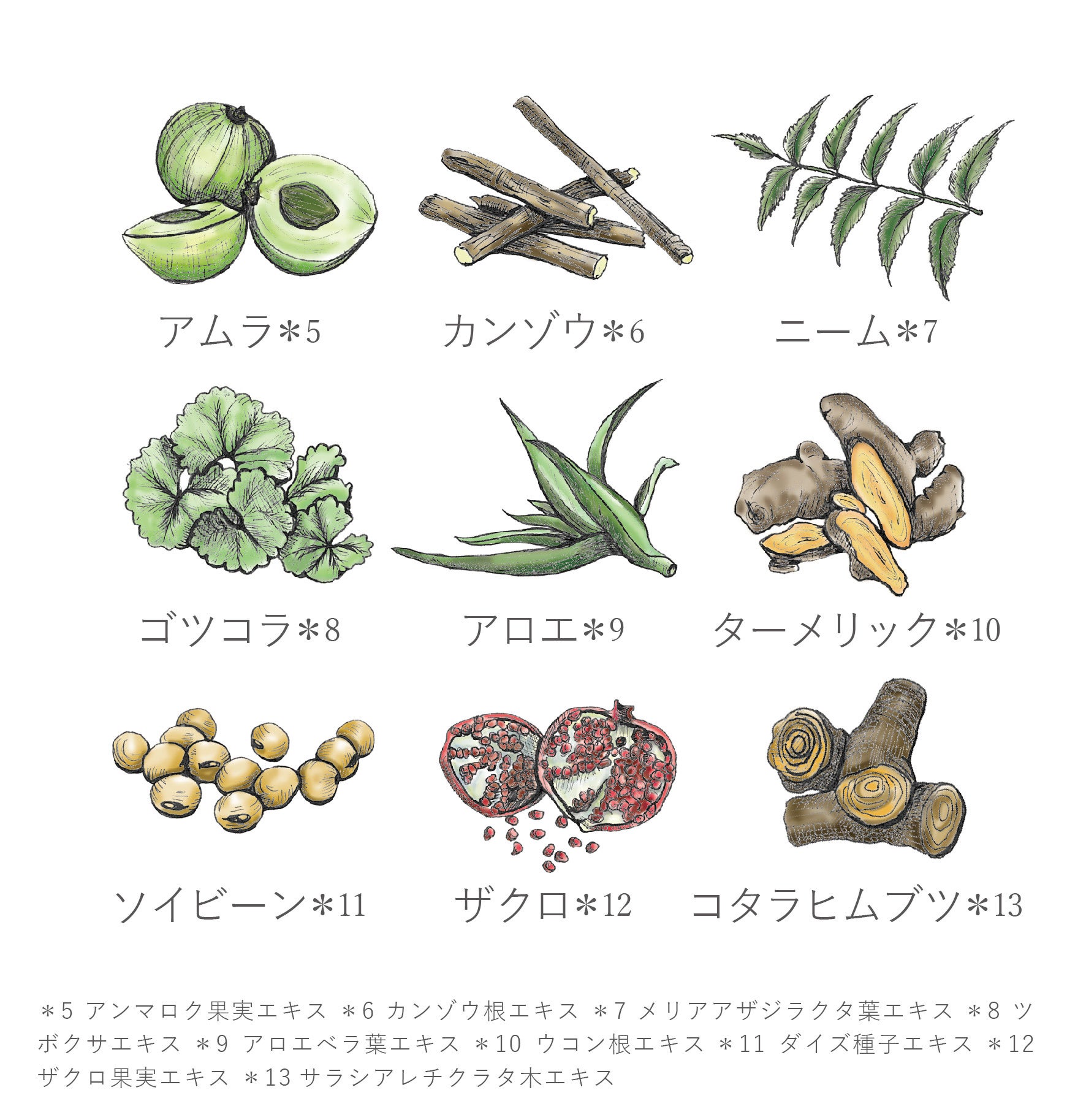 美肌へ導く９種類の植物エッセンス