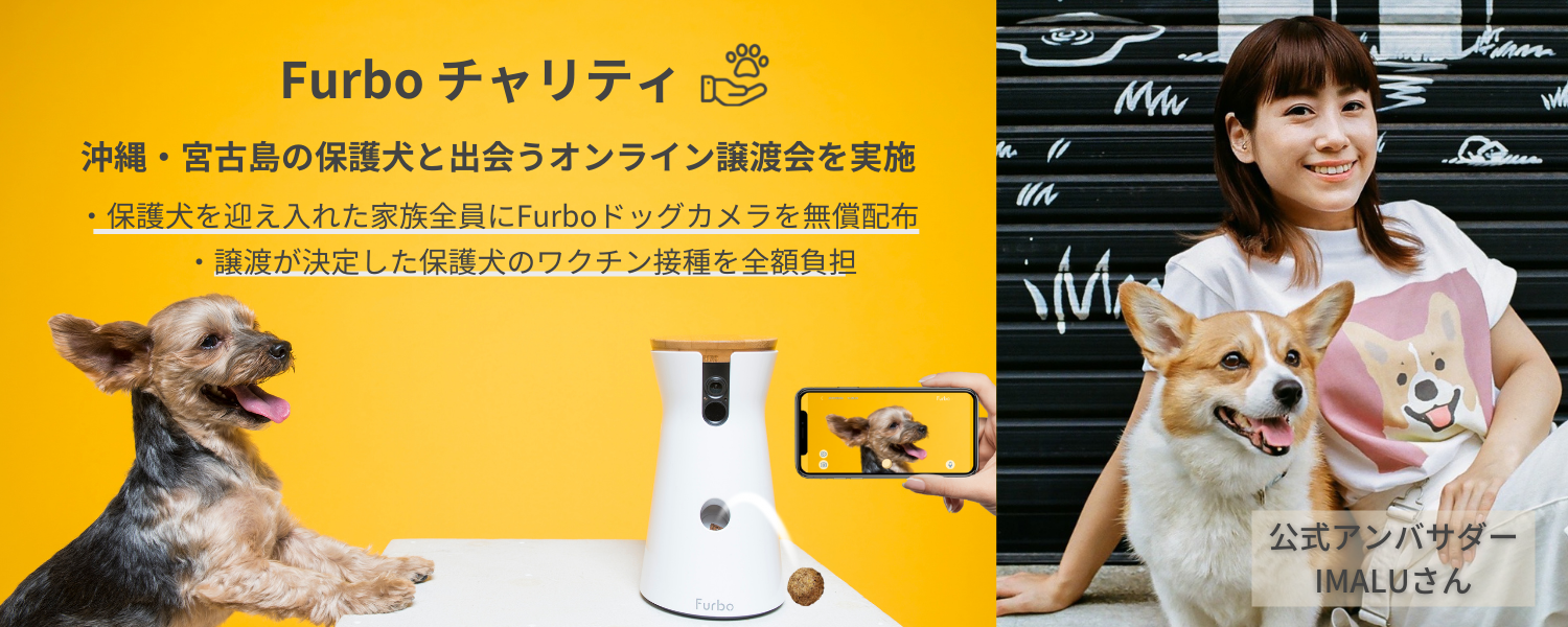 【新品未開発】世界初！おやつが飛び出すドッグカメラ『Furbo』 Amazon | Furbo ドッグカメラ [ファーボ] - AI搭載 wifi ペットカメラ