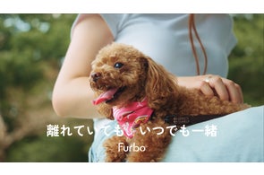 世界初 おやつが飛び出すドッグカメラ“Furbo” 8月からの販売開始 世界初 おやつが飛び出すドッグカメラ“Furbo” 8月からの販売開始