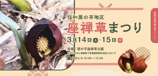 【日本一の星空】長野県阿智村 伍和 原の平座禅草公園にて「原の平地区座禅草まつり」開催 【日本一の星空】長野県阿智村 伍和 原の平座禅草公園にて「原の平地区座禅草まつり」開催