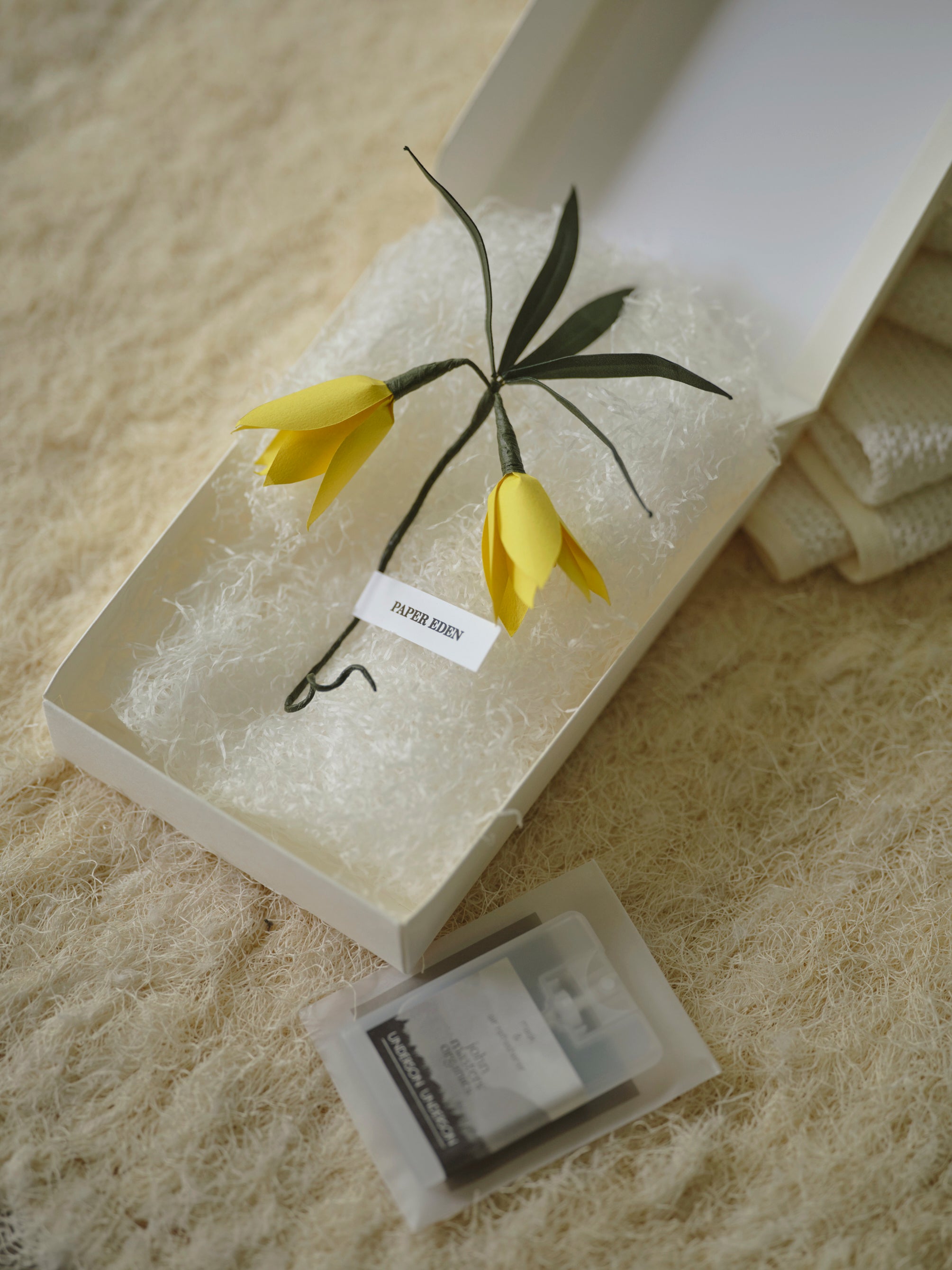 UNDERSON UNDERSON×PAPER EDEN　限定BOXセット ￥4,950 (tax in)