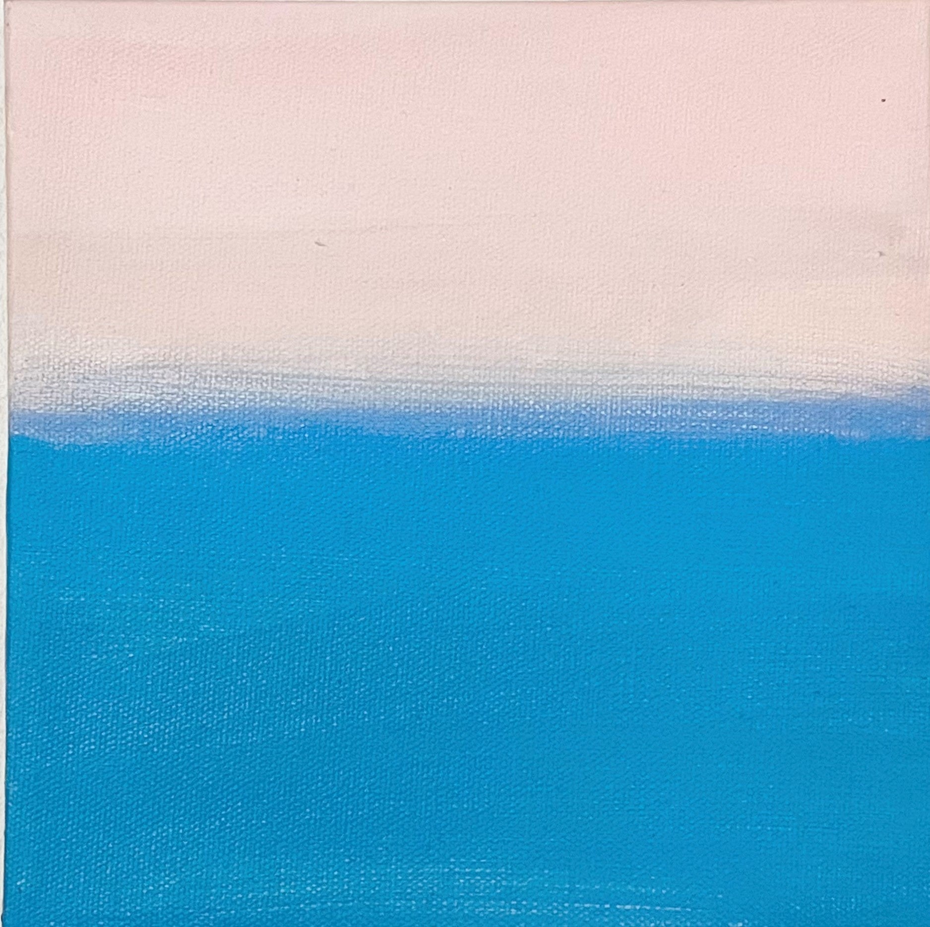 （サイズ：20×20） cm