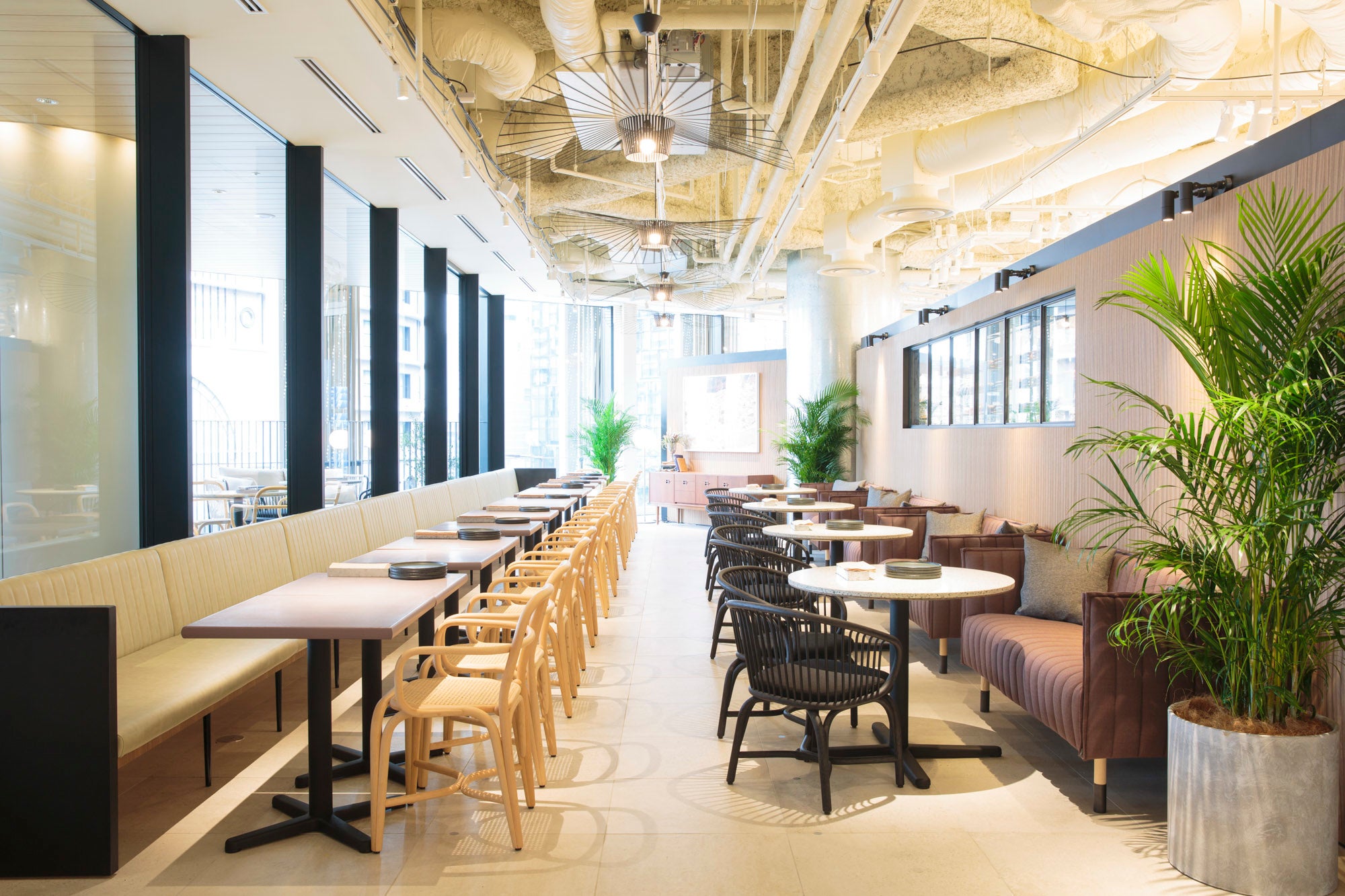 Cosme Kitchen Adaptation 阪神梅田本店