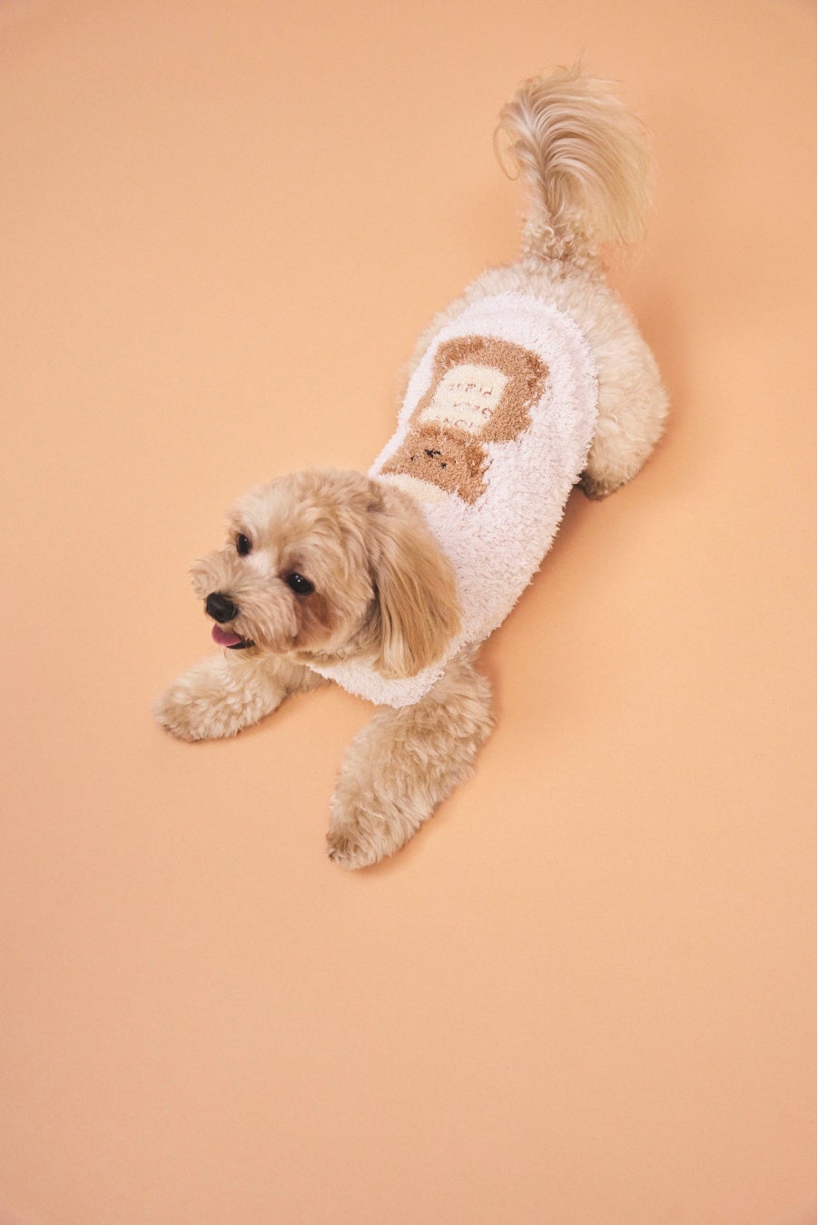 Gelato Pique Cat Dog ジェラート ピケ キャット ドッグ 猫や犬も楽しめるジェラート ピケ の新ラインにパンケーキをモチーフにしたもこもこウェアや雑貨など冬の新作が登場 株式会社マッシュホールディングスのプレスリリース Gelato Pique Cat Dog ジェラート ピケ キャット ドッグ 猫や犬も楽しめるジェラート ピケ の新ラインにパンケーキをモチーフにしたもこもこウェアや雑貨など冬の新作が登場 株式会社マッシュホールディングスのプレスリリース
