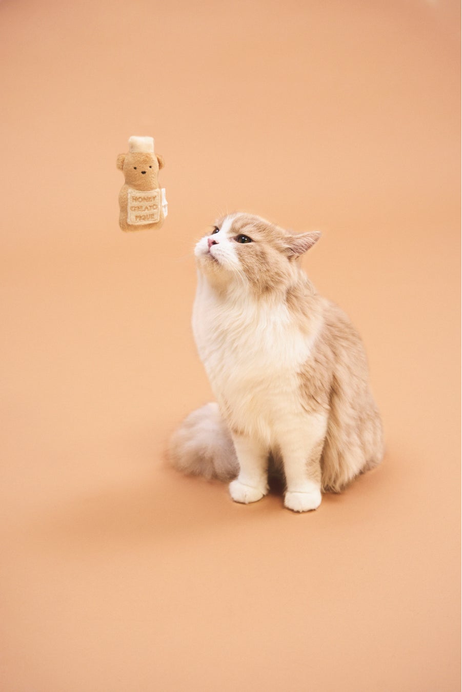 Gelato Pique Cat Dog ジェラート ピケ キャット ドッグ 猫や犬も楽しめるジェラート ピケ の新ラインにパンケーキをモチーフにしたもこもこウェアや雑貨など冬の新作が登場 株式会社マッシュホールディングスのプレスリリース Gelato Pique Cat Dog ジェラート ピケ キャット ドッグ 猫や犬も楽しめるジェラート ピケ の新ラインにパンケーキをモチーフにしたもこもこウェアや雑貨など冬の新作が登場 株式会社マッシュホールディングスのプレスリリース